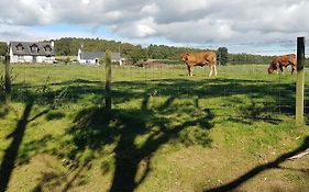 Cosy 2 Bedroom Croft Cottage With Beautiful Views