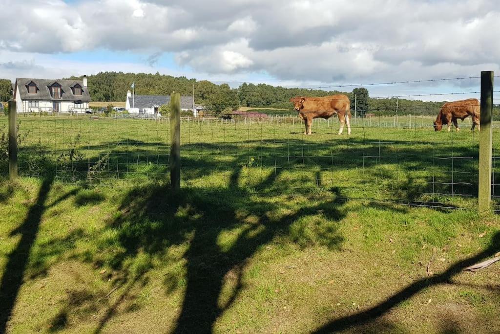 Cosy 2 Bedroom Croft Cottage With Beautiful Views North Kessock Exterior photo